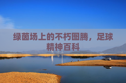 绿茵场上的不朽图腾,足球精神百科