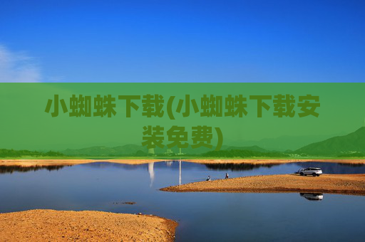 小蜘蛛下载(小蜘蛛下载安装免费)