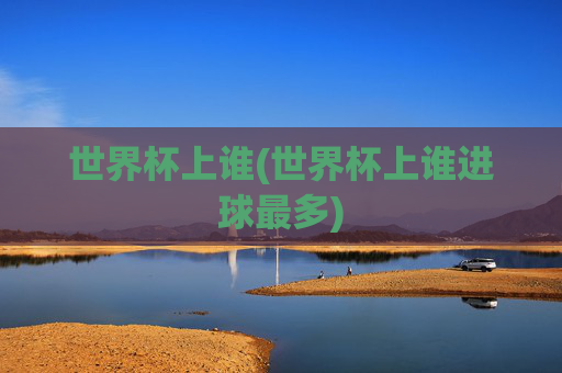 世界杯上谁(世界杯上谁进球最多)