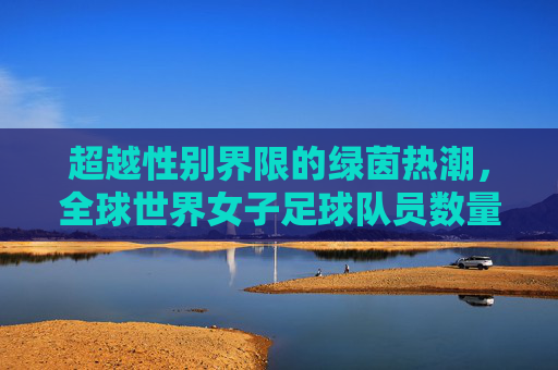 超越性别界限的绿茵热潮，全球世界女子足球队员数量深度解析
