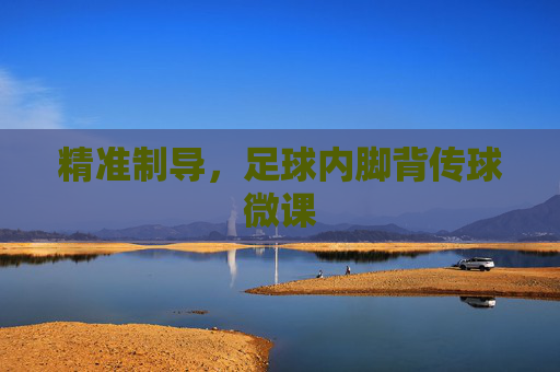 精准制导,足球内脚背传球微课