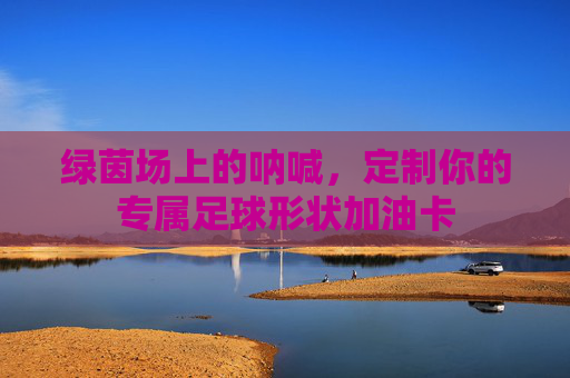 绿茵场上的呐喊，定制你的专属足球形状加油卡