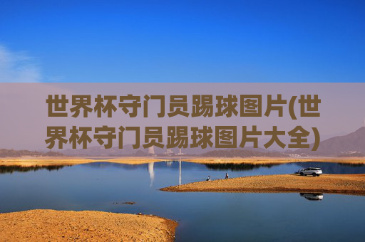 世界杯守门员踢球图片(世界杯守门员踢球图片大全)