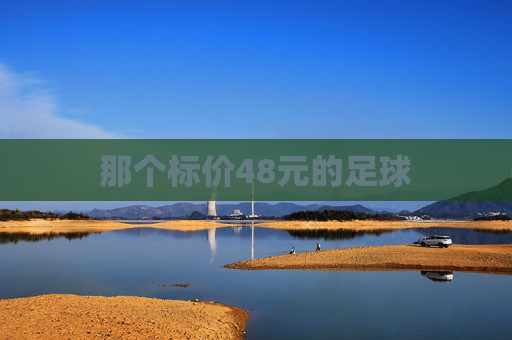 那个标价48元的足球