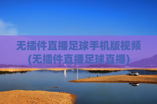 无插件直播足球手机版视频(无插件直播足球直播)