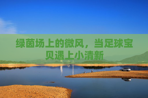 绿茵场上的微风,当足球宝贝遇上小清新
