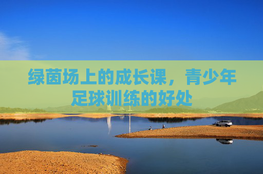 绿茵场上的成长课，青少年足球训练的好处