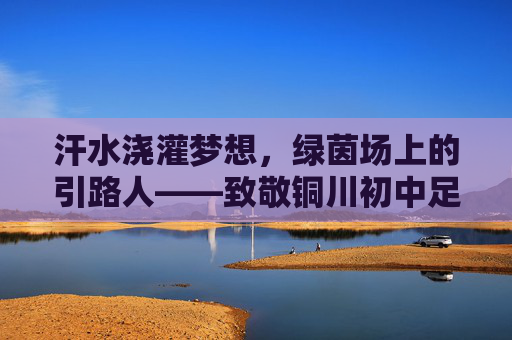 汗水浇灌梦想，绿茵场上的引路人——致敬铜川初中足球队的老师们