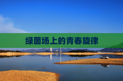 绿茵场上的青春旋律