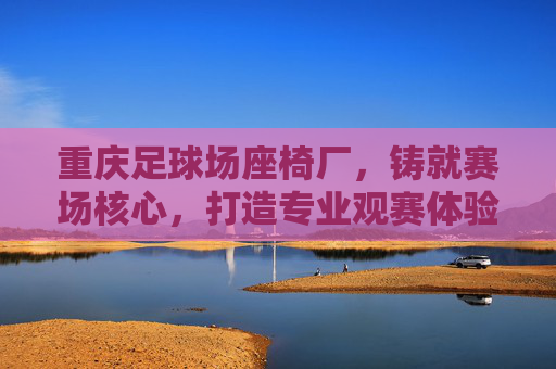 重庆足球场座椅厂,铸就赛场核心,打造专业观赛体验