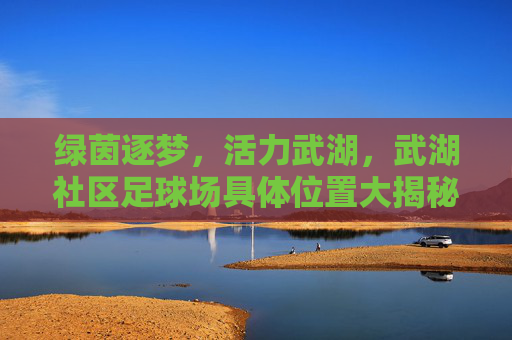 绿茵逐梦，活力武湖，武湖社区足球场具体位置大揭秘