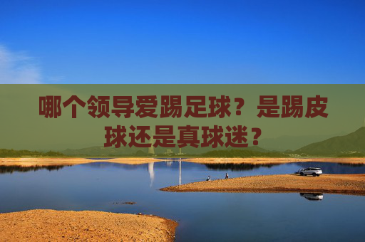 哪个领导爱踢足球？是踢皮球还是真球迷？
