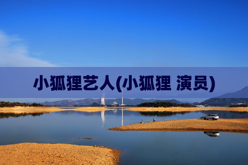 小狐狸艺人(小狐狸 演员)