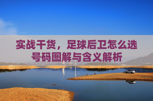 实战干货，足球后卫怎么选号码图解与含义解析