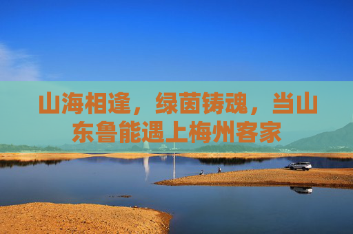 山海相逢,绿茵铸魂,当山东鲁能遇上梅州客家