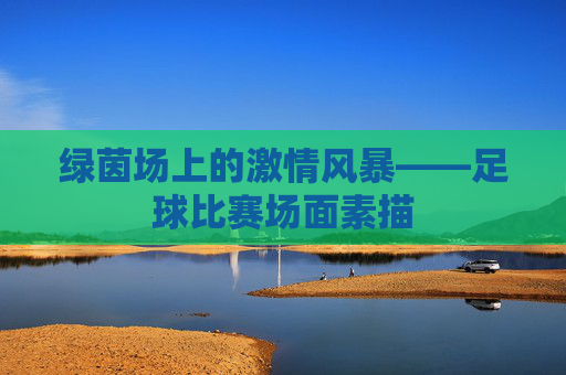 绿茵场上的激情风暴——足球比赛场面素描