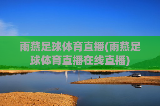雨燕足球体育直播(雨燕足球体育直播在线直播)