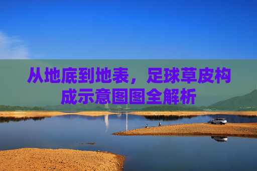 从地底到地表，足球草皮构成示意图图全解析