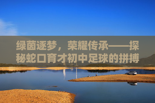 绿茵逐梦，荣耀传承——探秘蛇口育才初中足球的拼搏精神