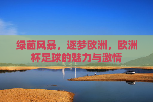 绿茵风暴,逐梦欧洲,欧洲杯足球的魅力与激情