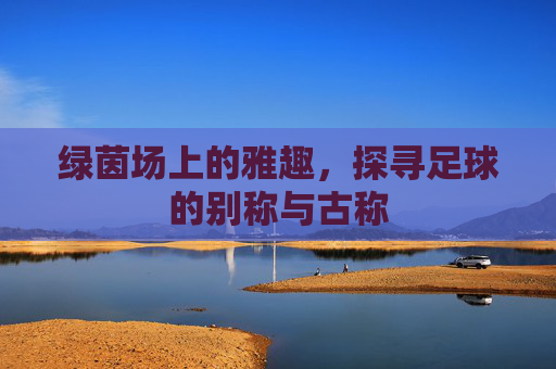 绿茵场上的雅趣，探寻足球的别称与古称