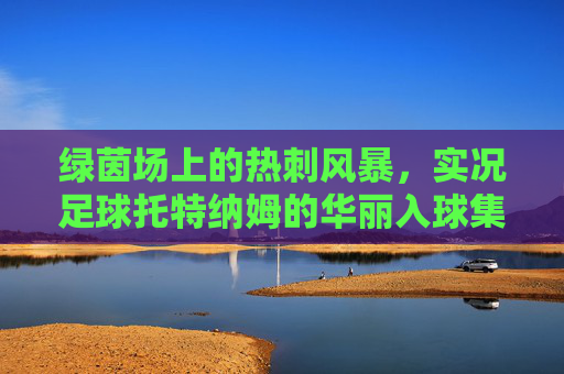 绿茵场上的热刺风暴,实况足球托特纳姆的华丽入球集锦