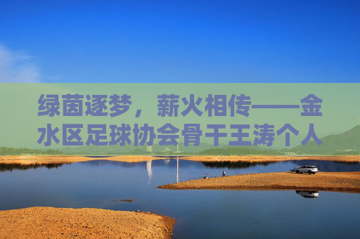 绿茵逐梦，薪火相传——金水区足球协会骨干王涛个人简历