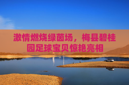 激情燃烧绿茵场，梅县碧桂园足球宝贝惊艳亮相