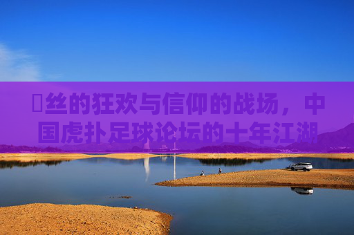 屌丝的狂欢与信仰的战场，中国虎扑足球论坛的十年江湖