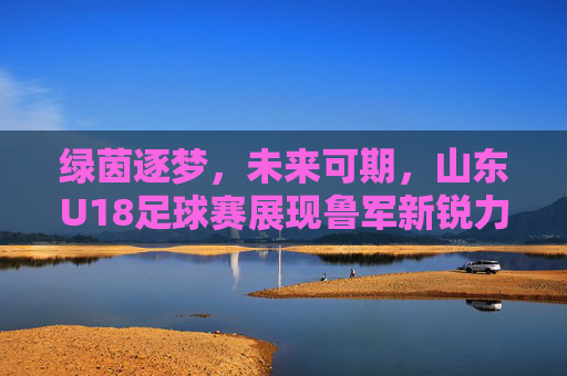 绿茵逐梦，未来可期，山东U18足球赛展现鲁军新锐力量