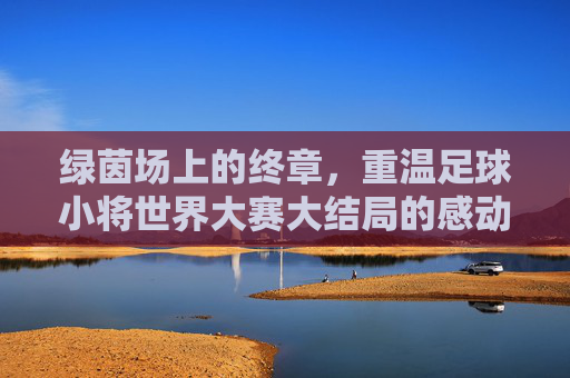 绿茵场上的终章,重温足球小将世界大赛大结局的感动与传承