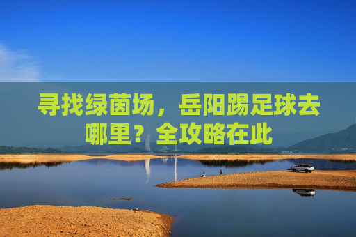 寻找绿茵场,岳阳踢足球去哪里?全攻略在此