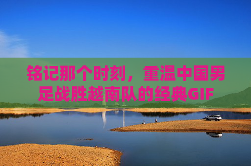 铭记那个时刻，重温中国男足战胜越南队的经典GIF