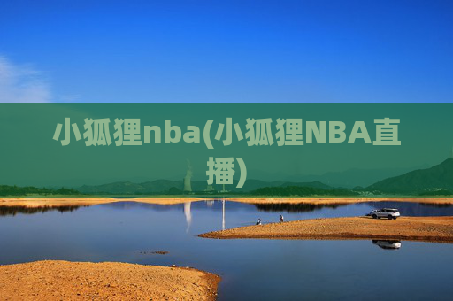 小狐狸nba(小狐狸NBA直播)