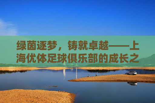 绿茵逐梦，铸就卓越——上海优体足球俱乐部的成长之路