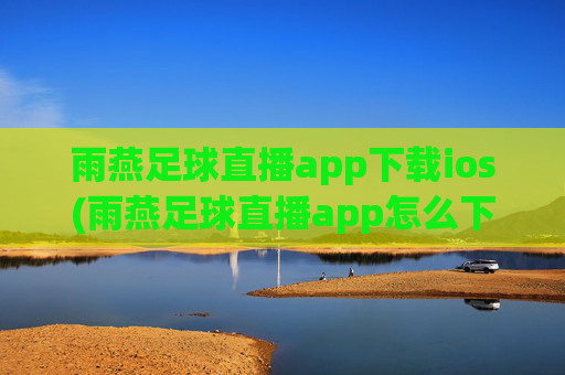 雨燕足球直播app下载ios(雨燕足球直播app怎么下载)