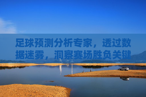 足球预测分析专家,透过数据迷雾,洞察赛场胜负关键