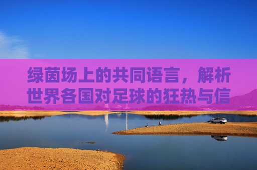 绿茵场上的共同语言,解析世界各国对足球的狂热与信仰