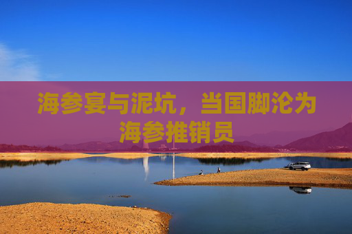 海参宴与泥坑,当国脚沦为海参推销员