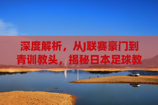 深度解析,从J联赛豪门到青训教头,揭秘日本足球教练的真实薪资水平