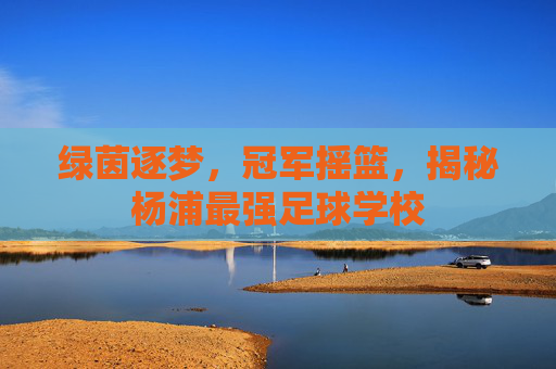 绿茵逐梦，冠军摇篮，揭秘杨浦最强足球学校