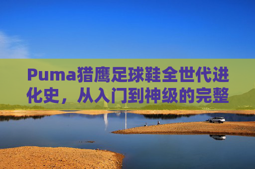 Puma猎鹰足球鞋全世代进化史,从入门到神级的完整等级图鉴