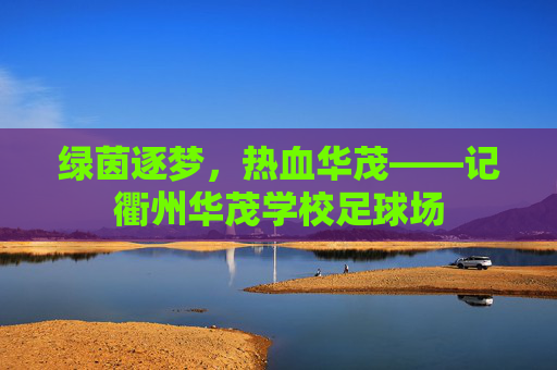 绿茵逐梦，热血华茂——记衢州华茂学校足球场