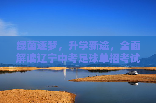 绿茵逐梦，升学新途，全面解读辽宁中考足球单招考试