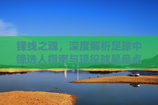 锋线之魂，深度解析足球中锋选人指南与现役球星盘点