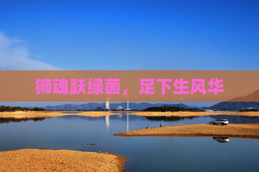 狮魂跃绿茵,足下生风华