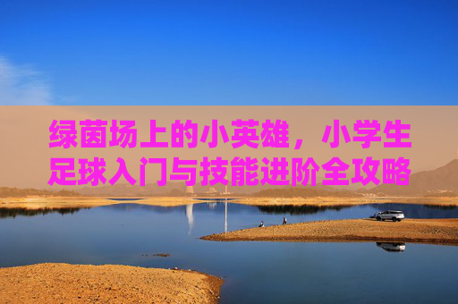 绿茵场上的小英雄,小学生足球入门与技能进阶全攻略