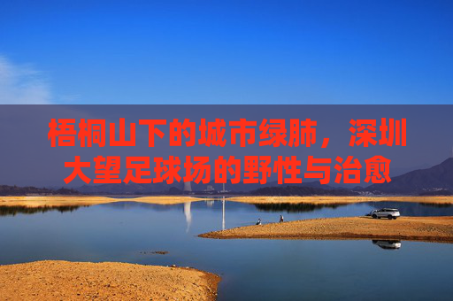 梧桐山下的城市绿肺，深圳大望足球场的野性与治愈