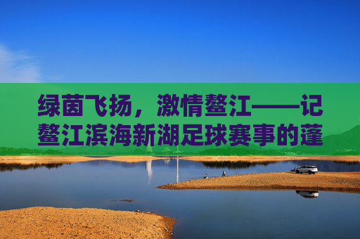 绿茵飞扬，激情鳌江——记鳌江滨海新湖足球赛事的蓬勃盛况