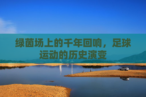 绿茵场上的千年回响,足球运动的历史演变